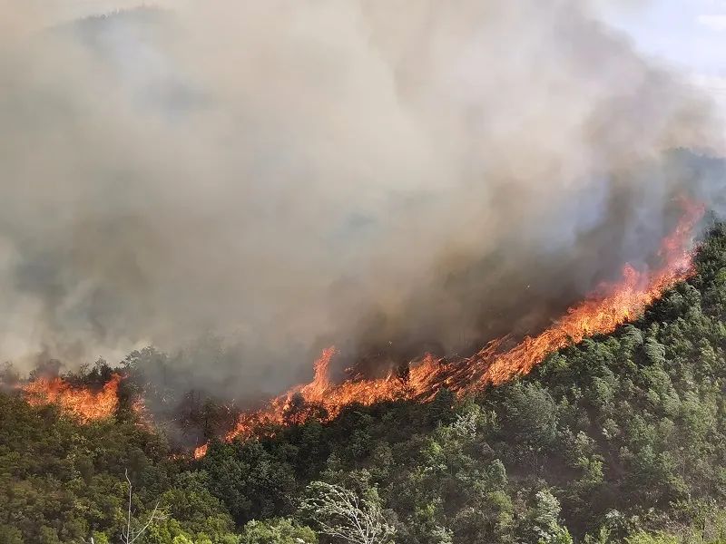 森林火灾气象站可实时监测气象